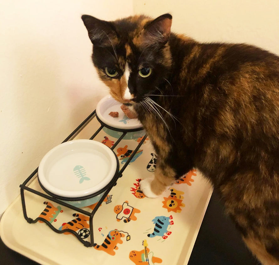 Cheese Puff Tiger Tray