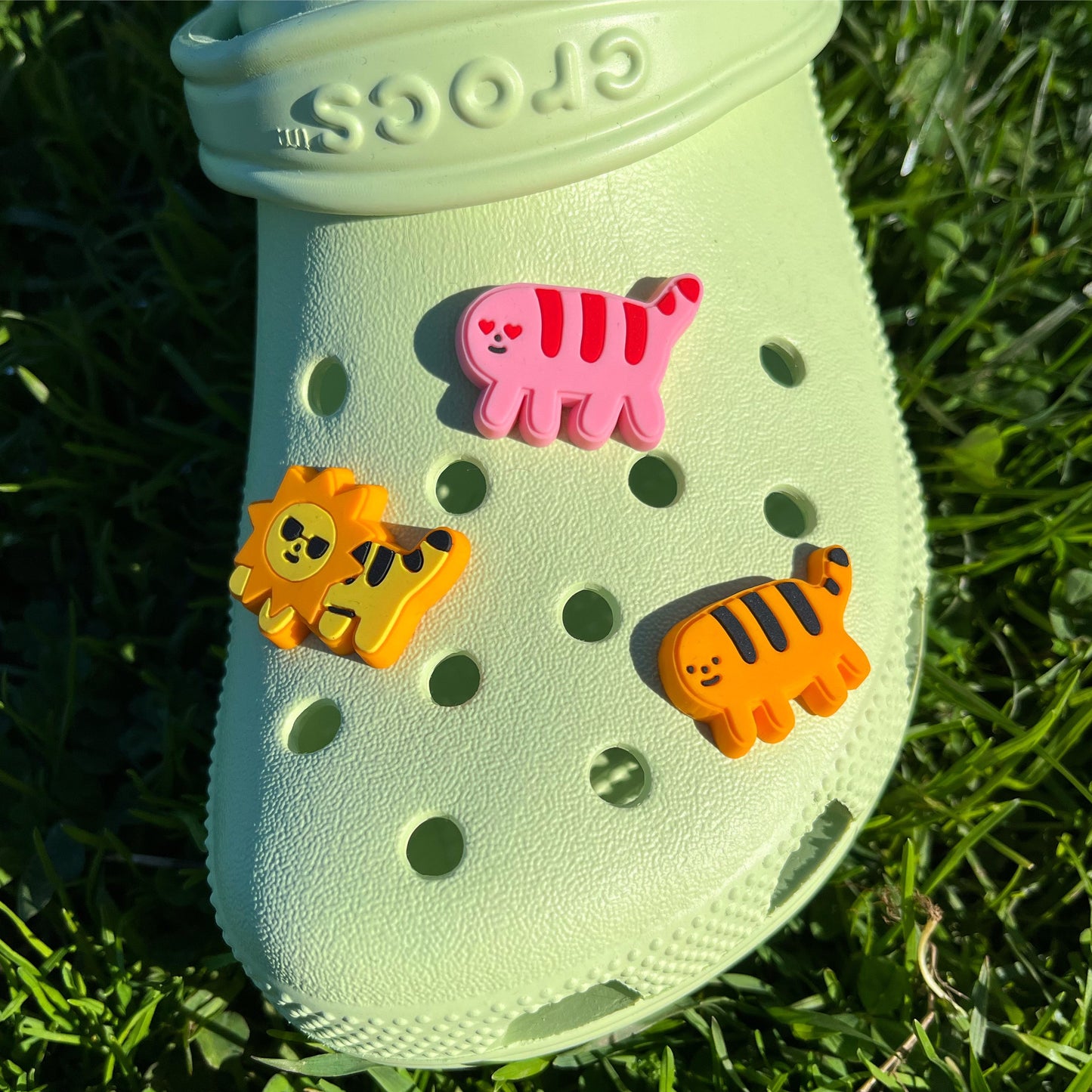 Shoe Charms (Cheese, Heart, Sun Puff Tigers)