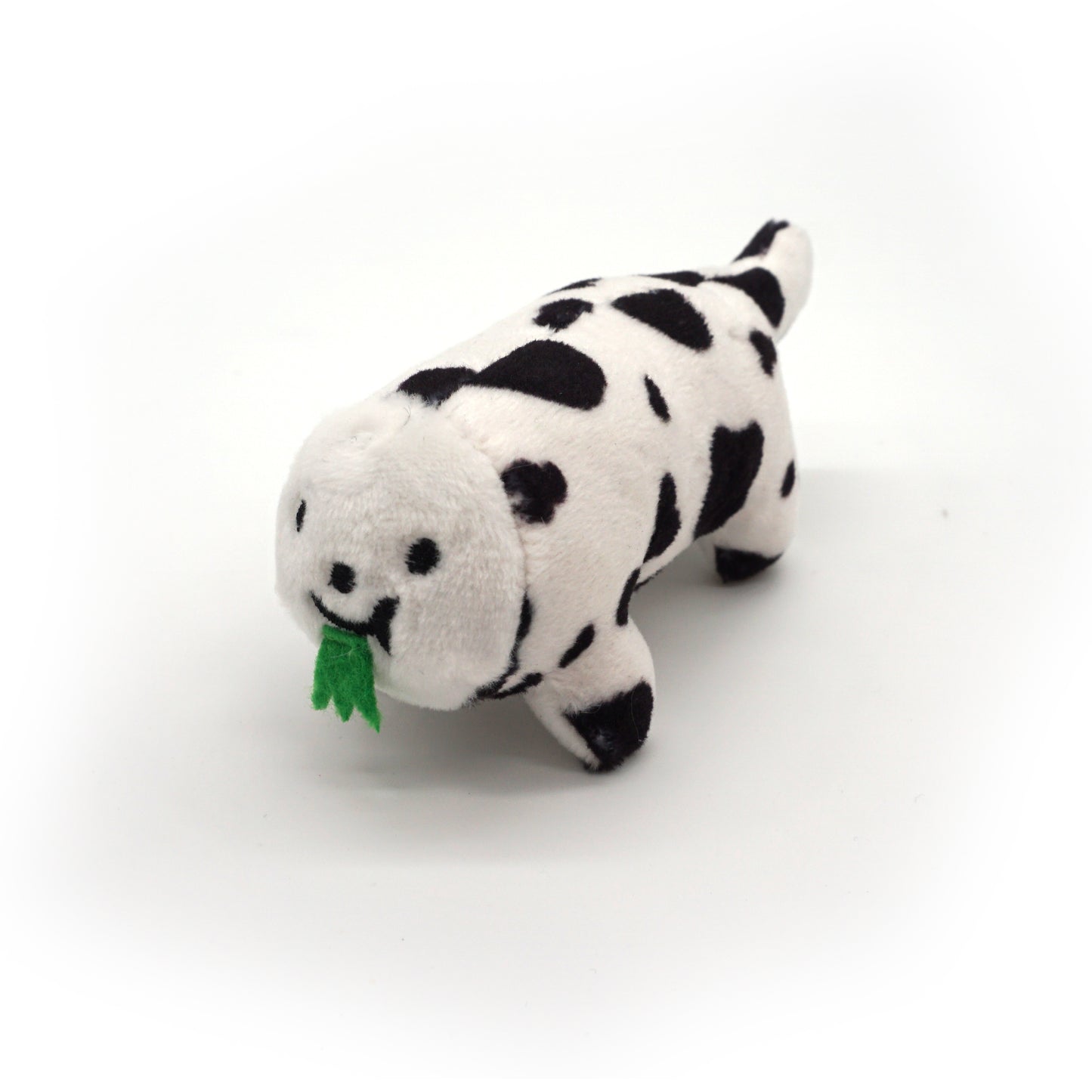 Cow Puff Tiger
